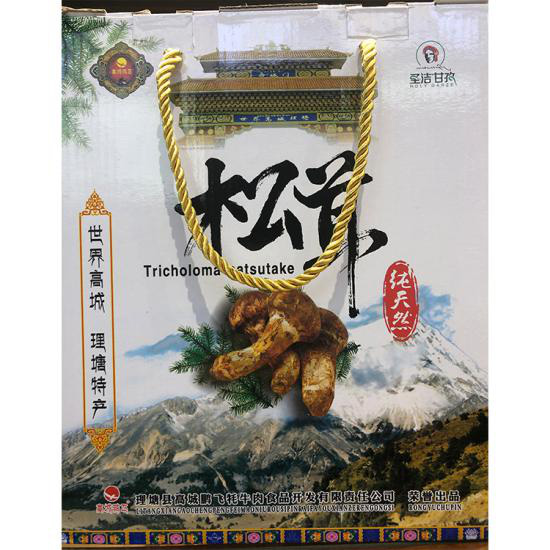 圖片8.jpg 圖片8.jpg